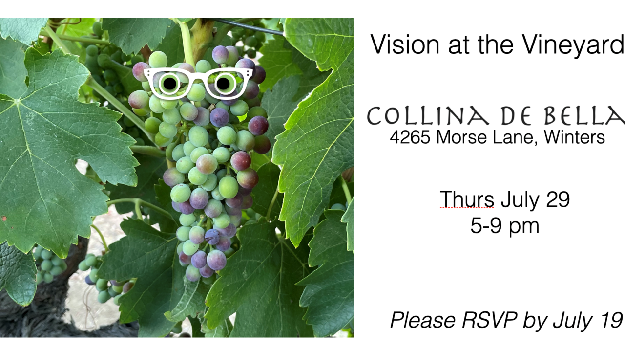 Vision at the Vineyard