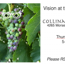 Vision at the Vineyard